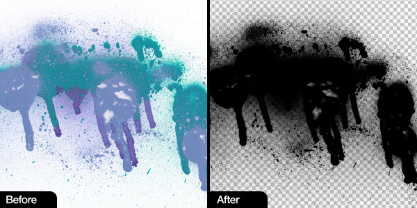 White background removal White background removal