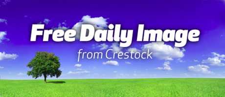 Daily Free Image from Crestock