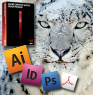 Adobe CS4 in Snow Leopard