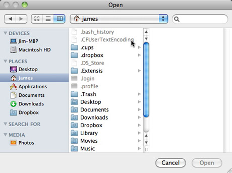View invisible files in Open/Save dialog boxes
