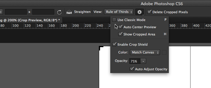 Photoshop CS6 cropping preferences